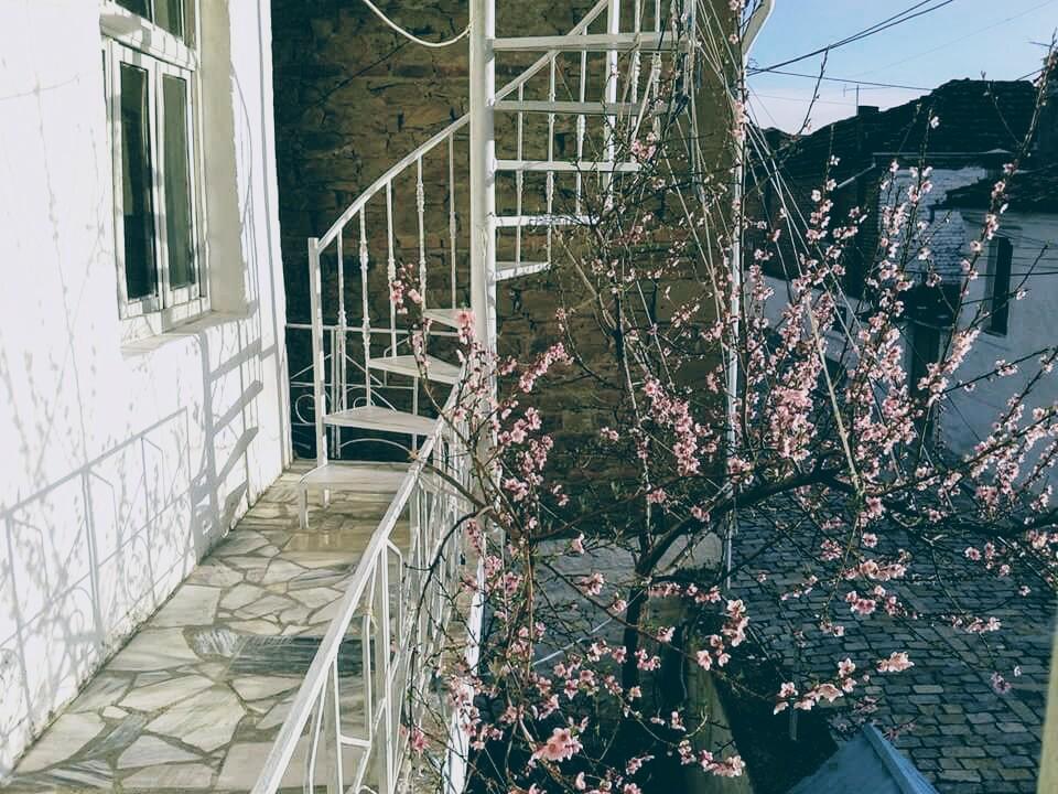 Small Room For Two In Private Villa 코르처 외부 사진